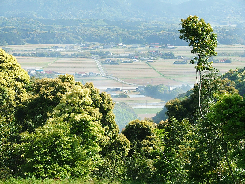 シンラテックの事業体制